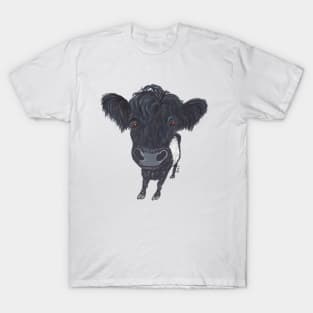 BELTED GALLOWAY T-Shirt